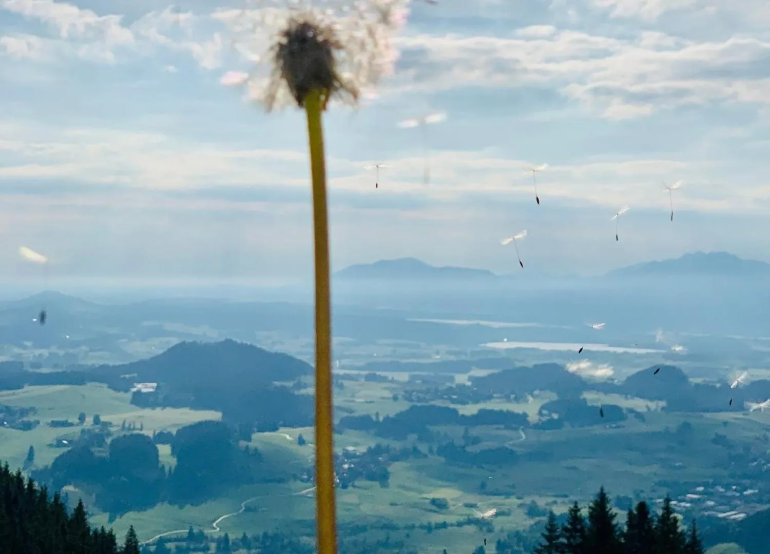 Ferienhaus Sommer Pfronten Deutschland