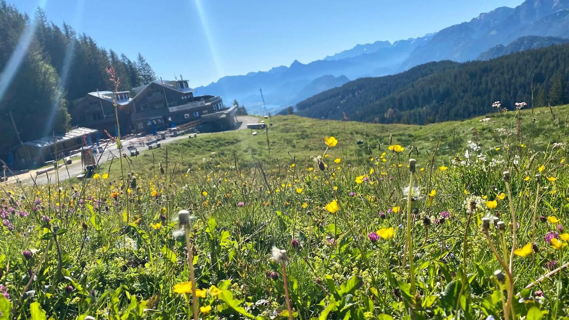 Apartment Ferienhaus Sommer Pfronten